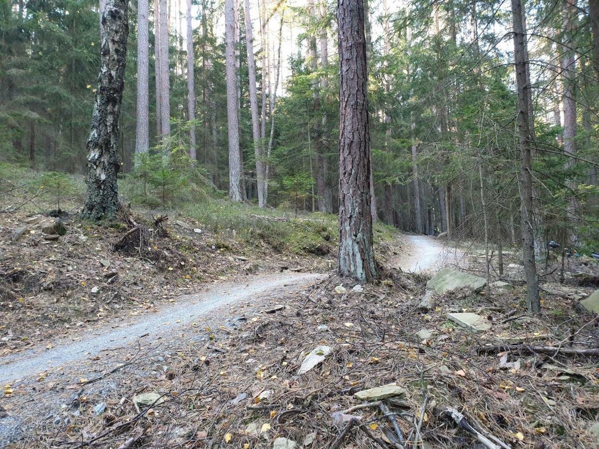 Lipno Nad Vltavou - Apartman 23 - Wifi, Parking, Netflix Esterno foto