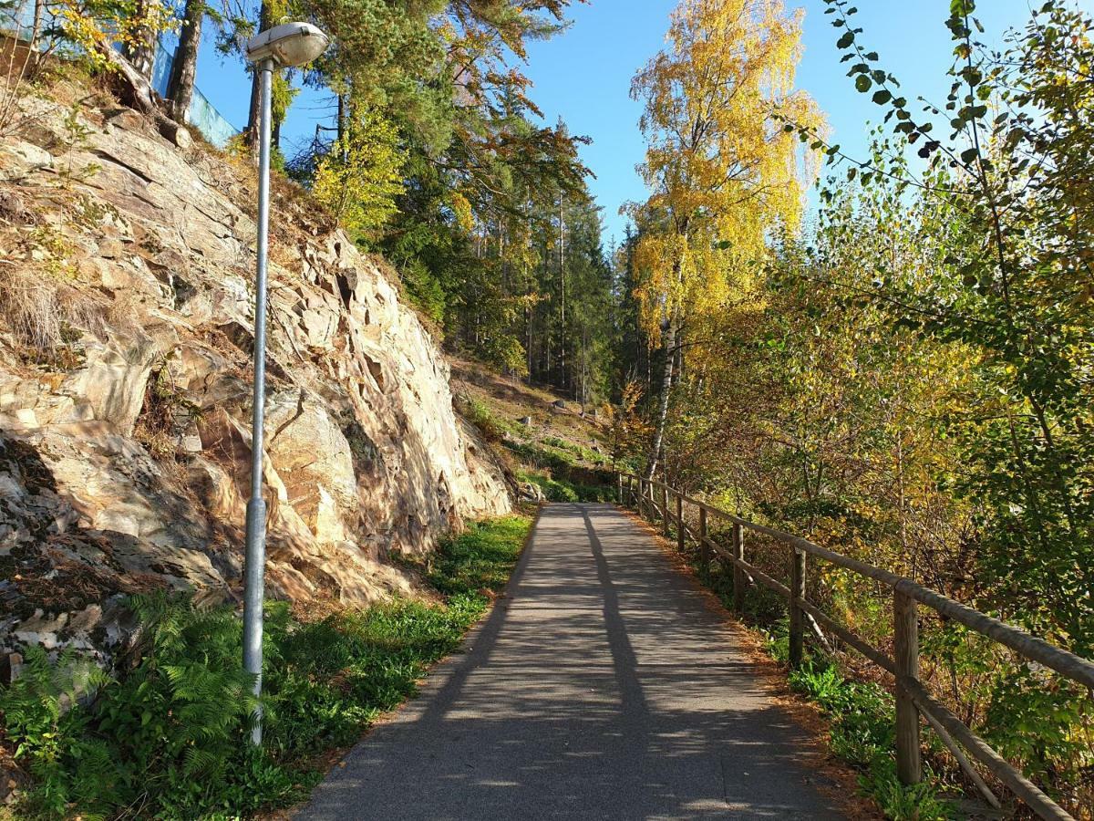 Lipno Nad Vltavou - Apartman 23 - Wifi, Parking, Netflix Esterno foto