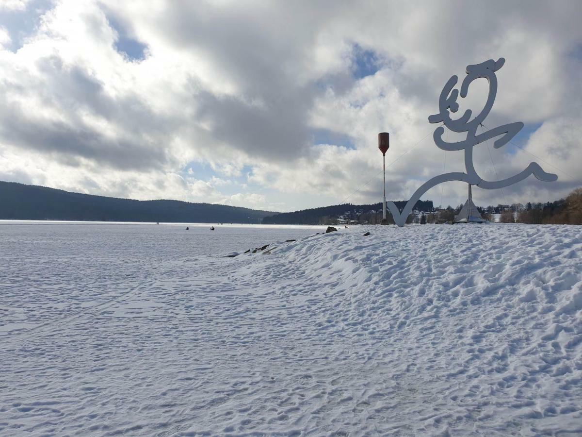 Lipno Nad Vltavou - Apartman 23 - Wifi, Parking, Netflix Esterno foto